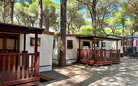 Buona Mobile Homes On Camping Mare E Pineta